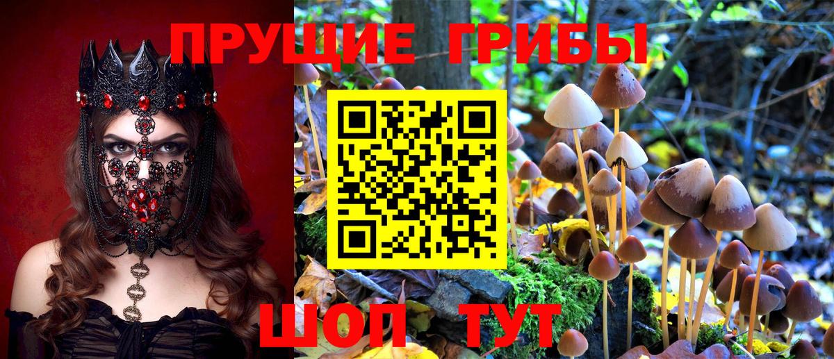 Псилоцибиновые грибы мицелий  Вход с VPN  Пенза 